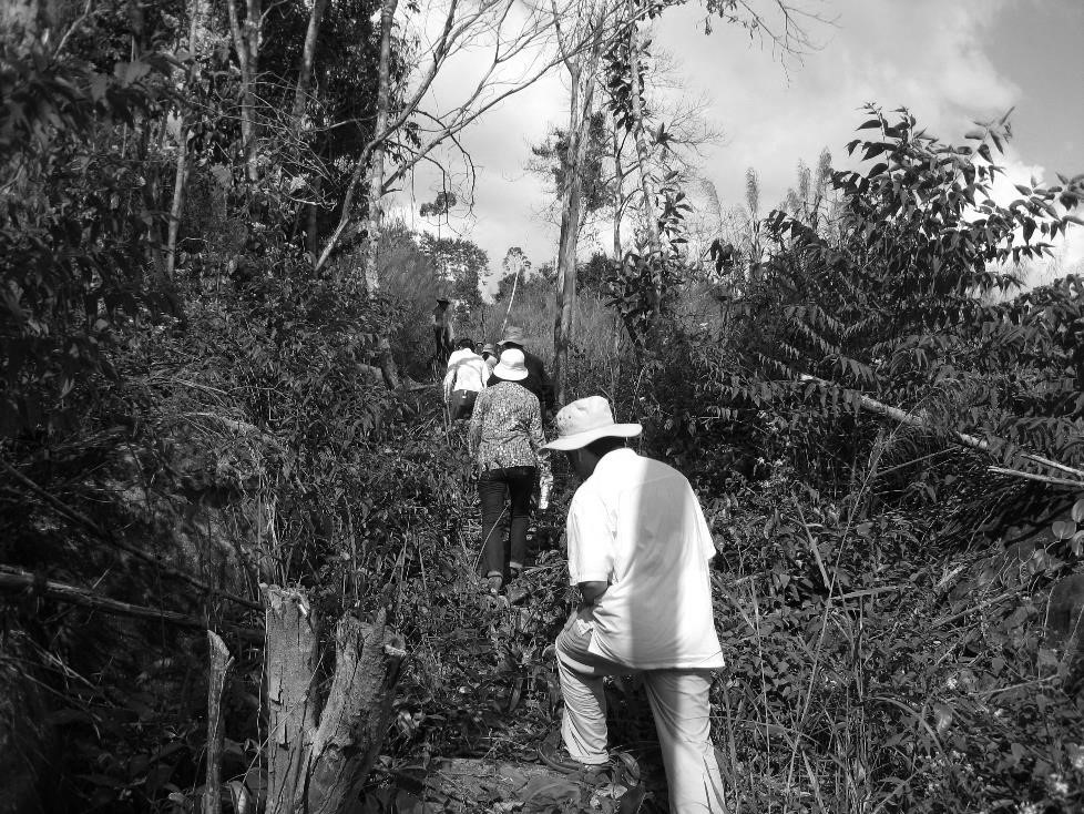 西港先鋒團(tuán)隊1